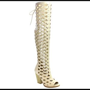 Thigh High Wedge Heels